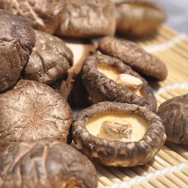 Сухой гриб Shiitake экспорт сухие грибы обезвоженная