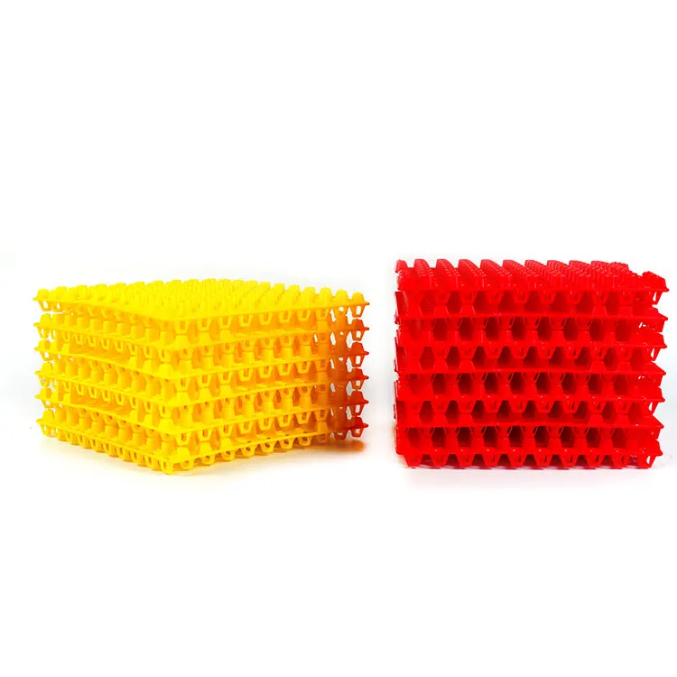 Plastic Quail Pigeon Large Egg Tray Egg Crates 90 Egg Flats for Home Chicken Farmers