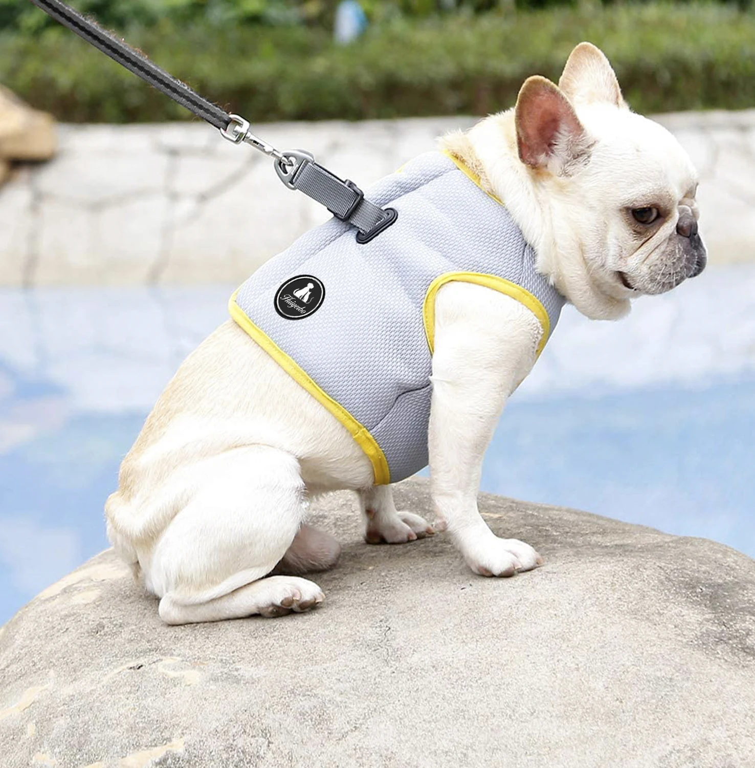 Cooling Coat Outdoor Reflective Anti-Heat Summer Blue Jacket Clothes For Medium And Large Chest Handle Anny X Dog Harness