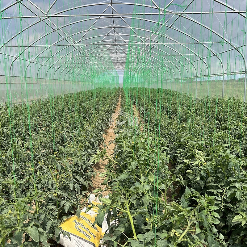 High tunnel single span single layer serre agricultural greenhouses plastic film serre agricole prix for tomatoes