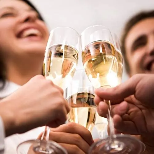 Keeps Wine & Champagne Chilled For Hours 3-in-1 Stainless Steel Wine Chiller