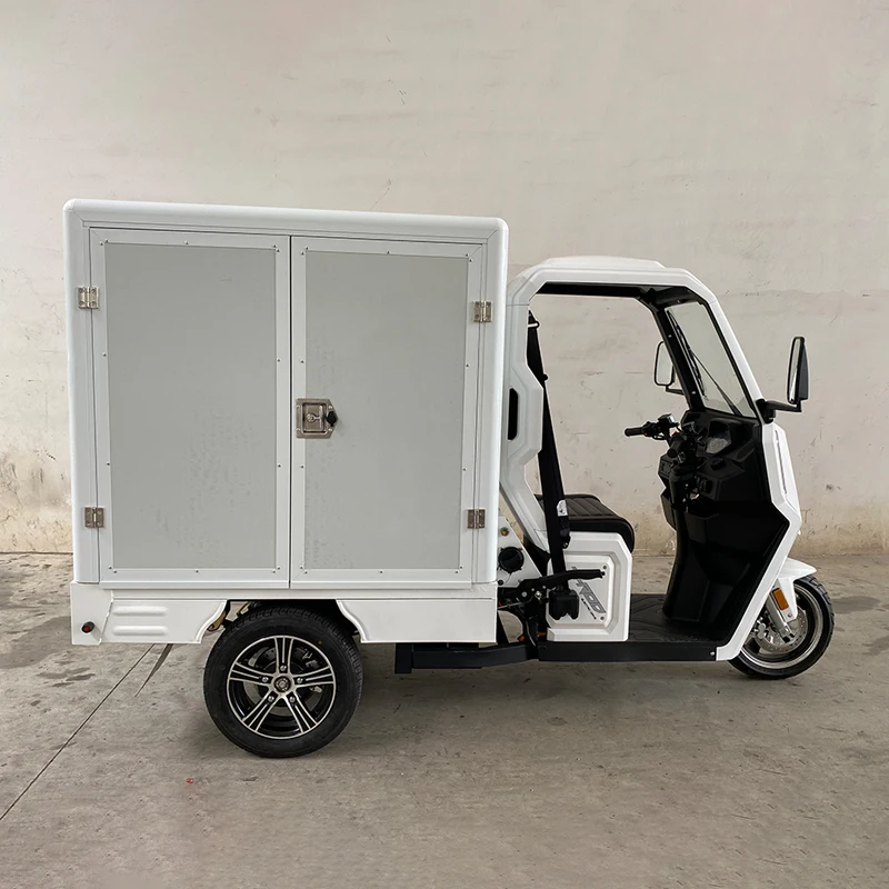 EEC Certificate 3KW &4.5KW Motor Electric Tricycle with 72V 100AH Lead Acid Battery Max Speed 45KM/H Long Range for Cargo