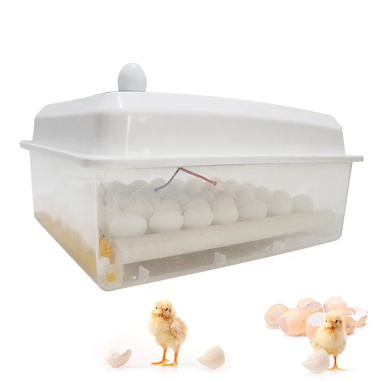 Household 12&220V plastic small size 6 zambia egg incubator with turer motor