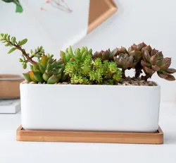 ceramic rectangle flower pots with bamboo saucer planter set wholesale