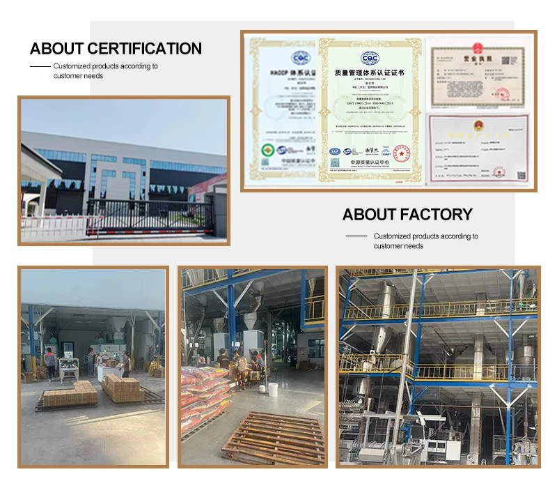 Зерновой корм для кошек 10 кг несколько форм различные вкусы премиум-класса сухой