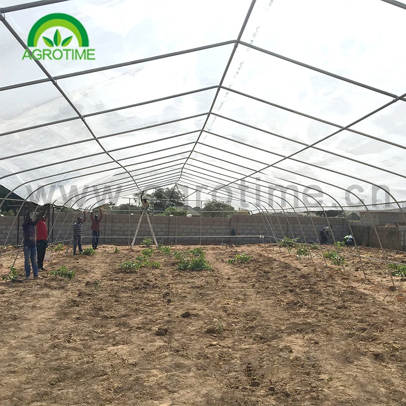 agriculture farming complete greenhouse grow Arch shape high tunnel green house for crops planting