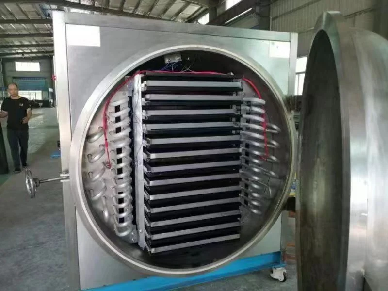 Good price Laboratory Pharmaceutical Food Pilot Heating Vacuum Freeze Dryer Machine Chemical Industries