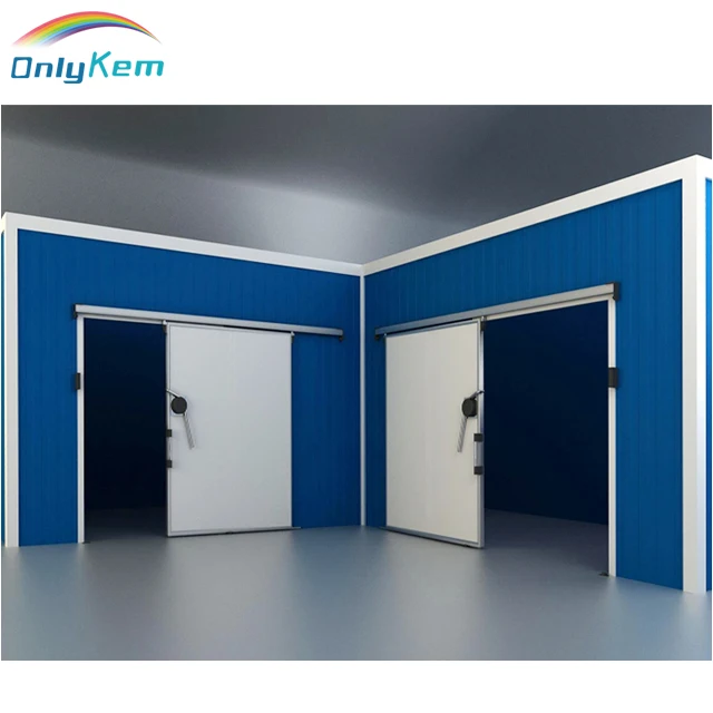 Hinged door sliding door cold room door