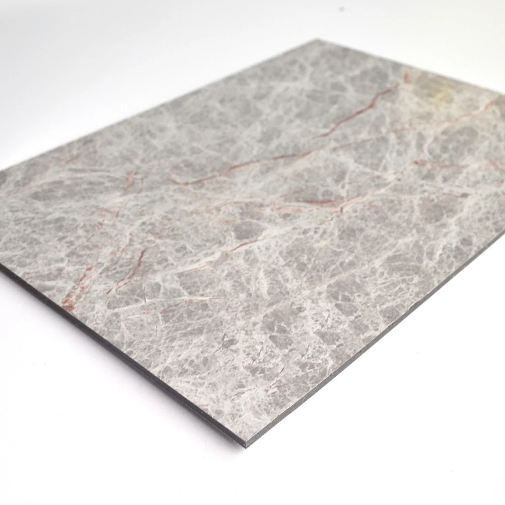 3mm Pe Coating Indoor Decoration ALUX Aluminium Composite Panel Design Acp Sheet