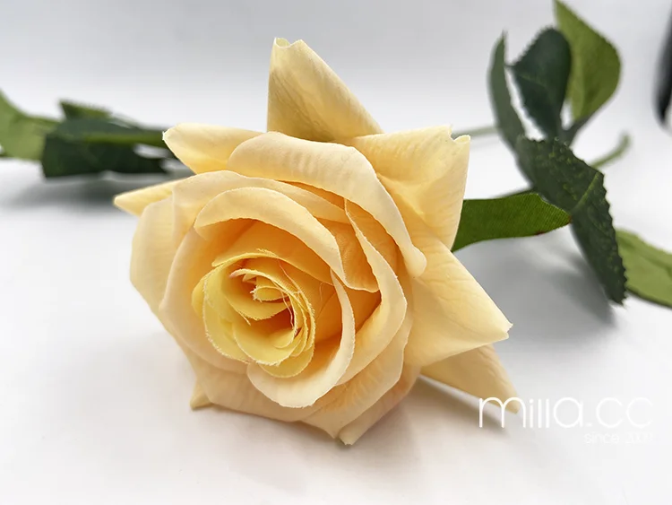 yellow rose 1.png