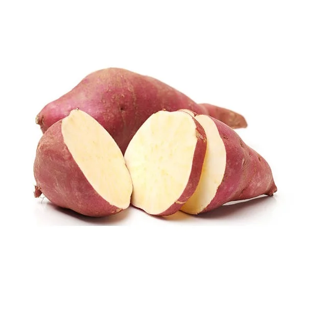 
Nutritive Fresh And Quality Sweet Potato From Srilanka For Sale 