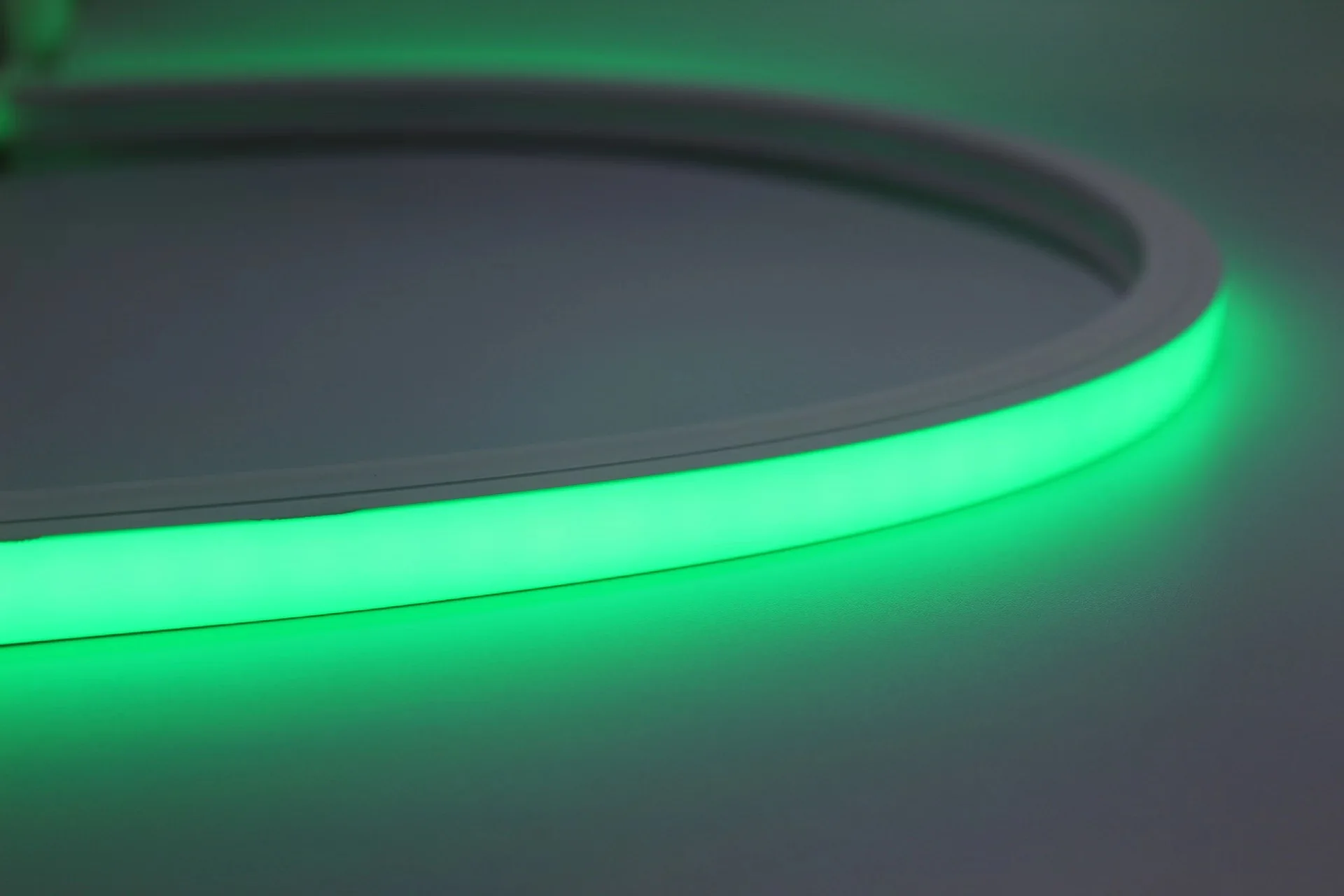 Drop Shipping Custom DC12V SMD 2835 Waterproof Silicon Flexible LED Neon Strip Light for home decor