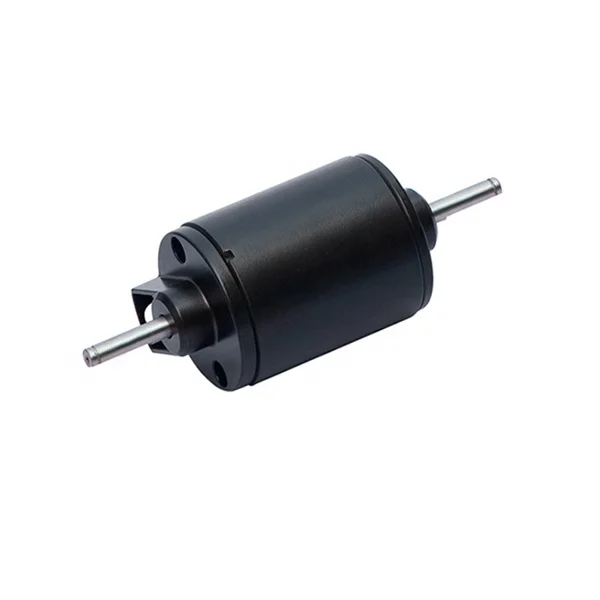 60ZY(60MM) 12V, 24V Permanent Magnet Brushed DC Motor