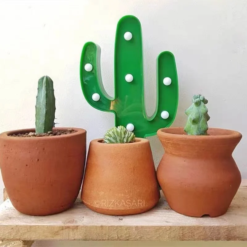 Wholesale different kinds pot cactus plant bonsai home office desk decoration