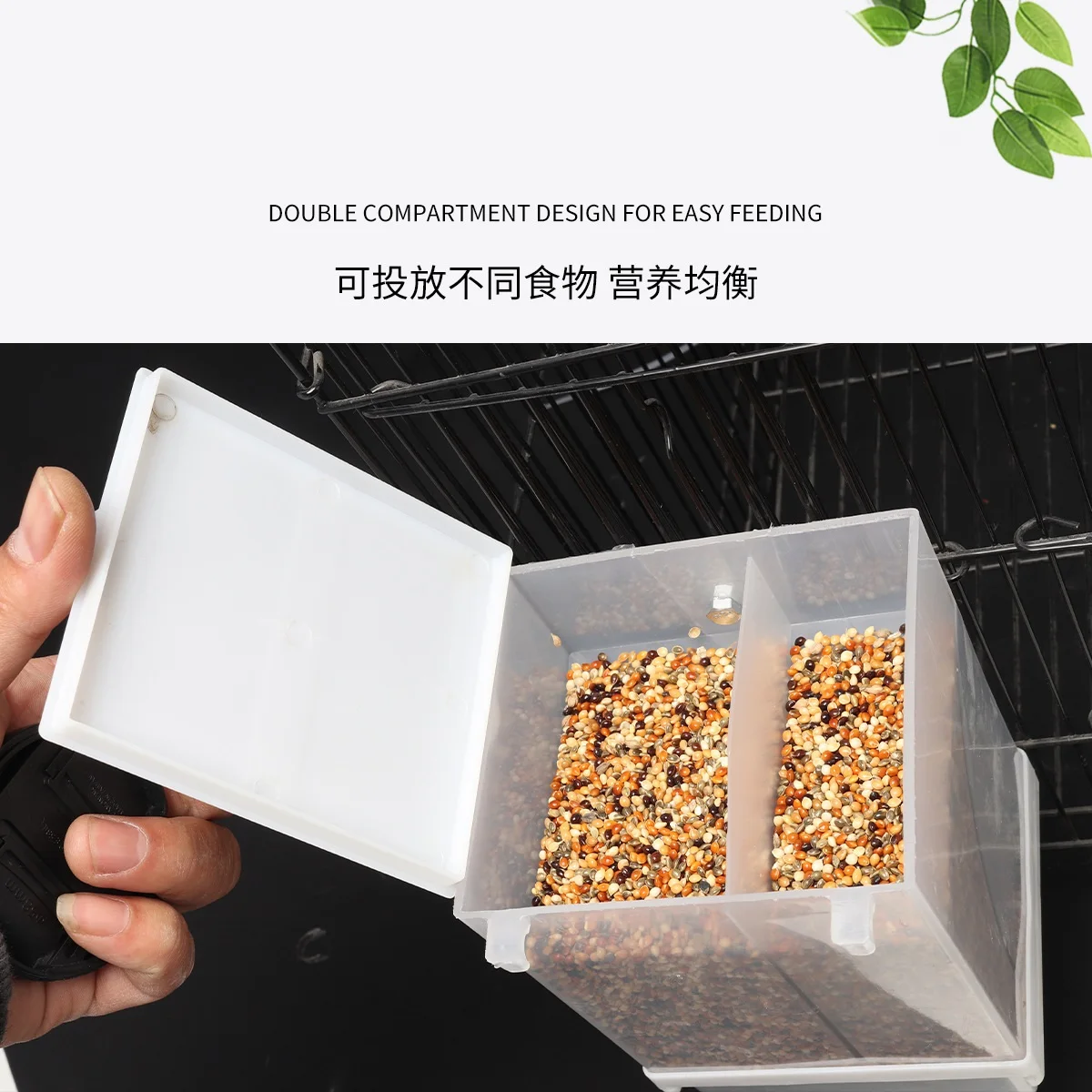 Tiger Skin Xuanfeng Peony Parrot Automatic Feeder Dispenser Bird Feeder Spill Resistant Splash Resistant Bird Food Container