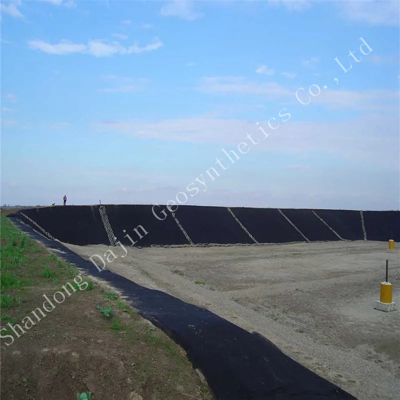 Hdpe Geomembrane for Mining Plastic Sheet Membrane for Mining Industry