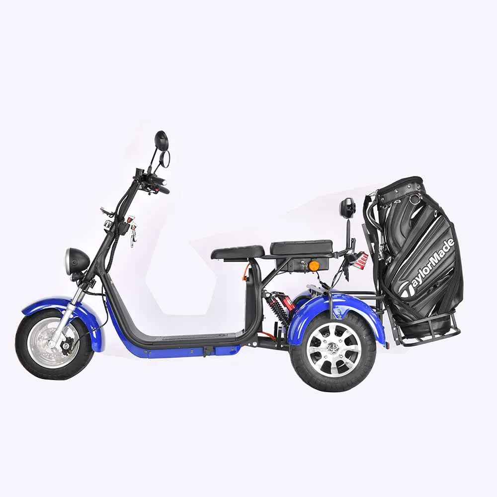 Car Lithium Battery Single Seats Club Electric Golf Cart