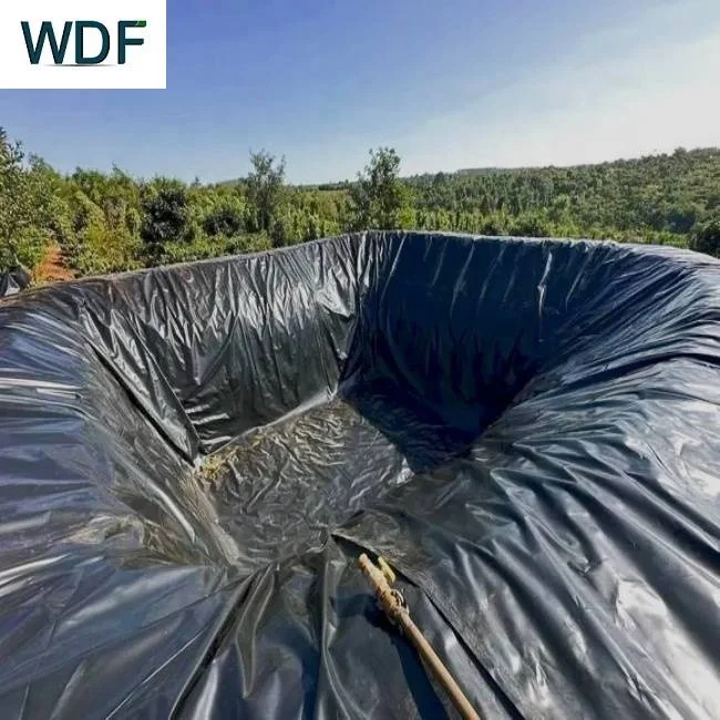 0.5mm Hdpe Geomembrane Shrimp Fish Farming Pond Liner 1.5mm Artificial Lake Hdpe Liner Hdpe Sheet Drinking tank