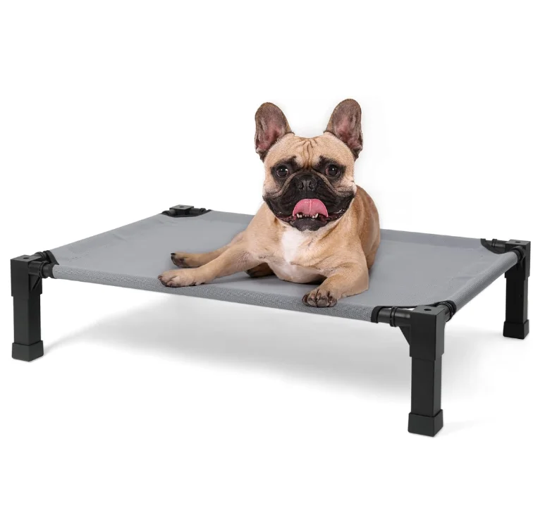 New Style Solid Wood Elevated Dog Bed with Soft Pillow Breathable Plastic Material Elevated Design