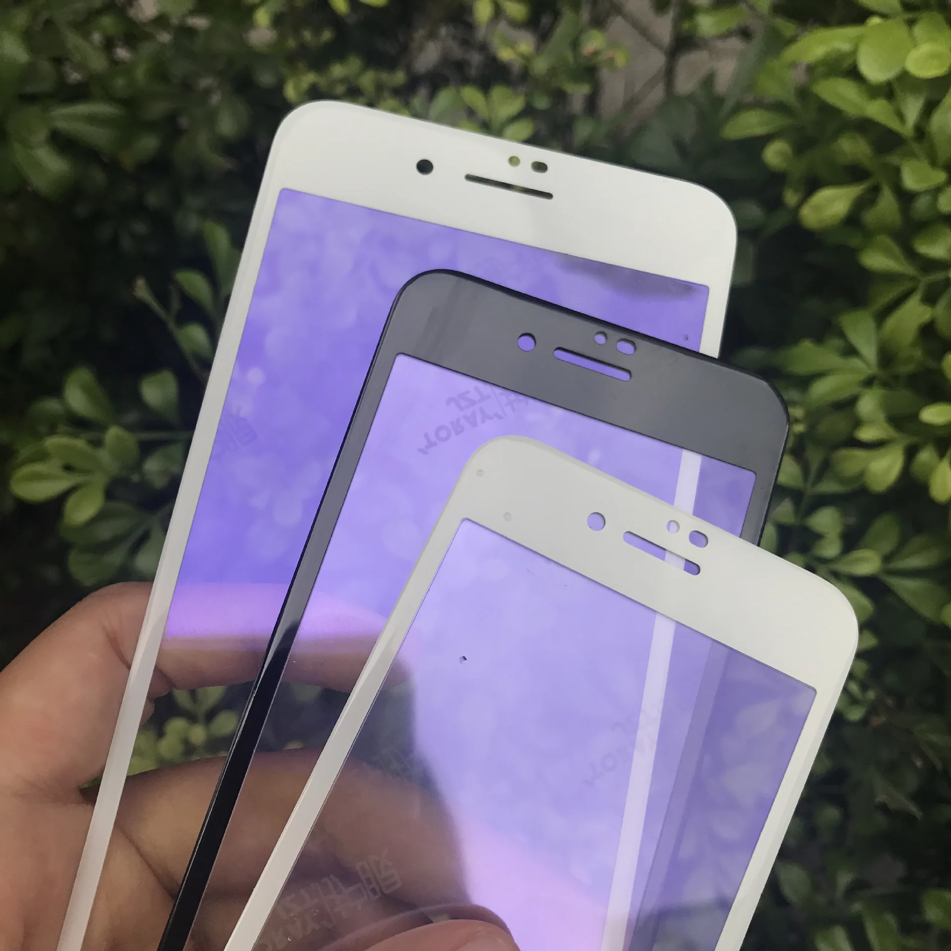 Full cover Anti blue purple light tempered glass screen protector for iphone X 6 7 7plus 8 plus 11 pro max