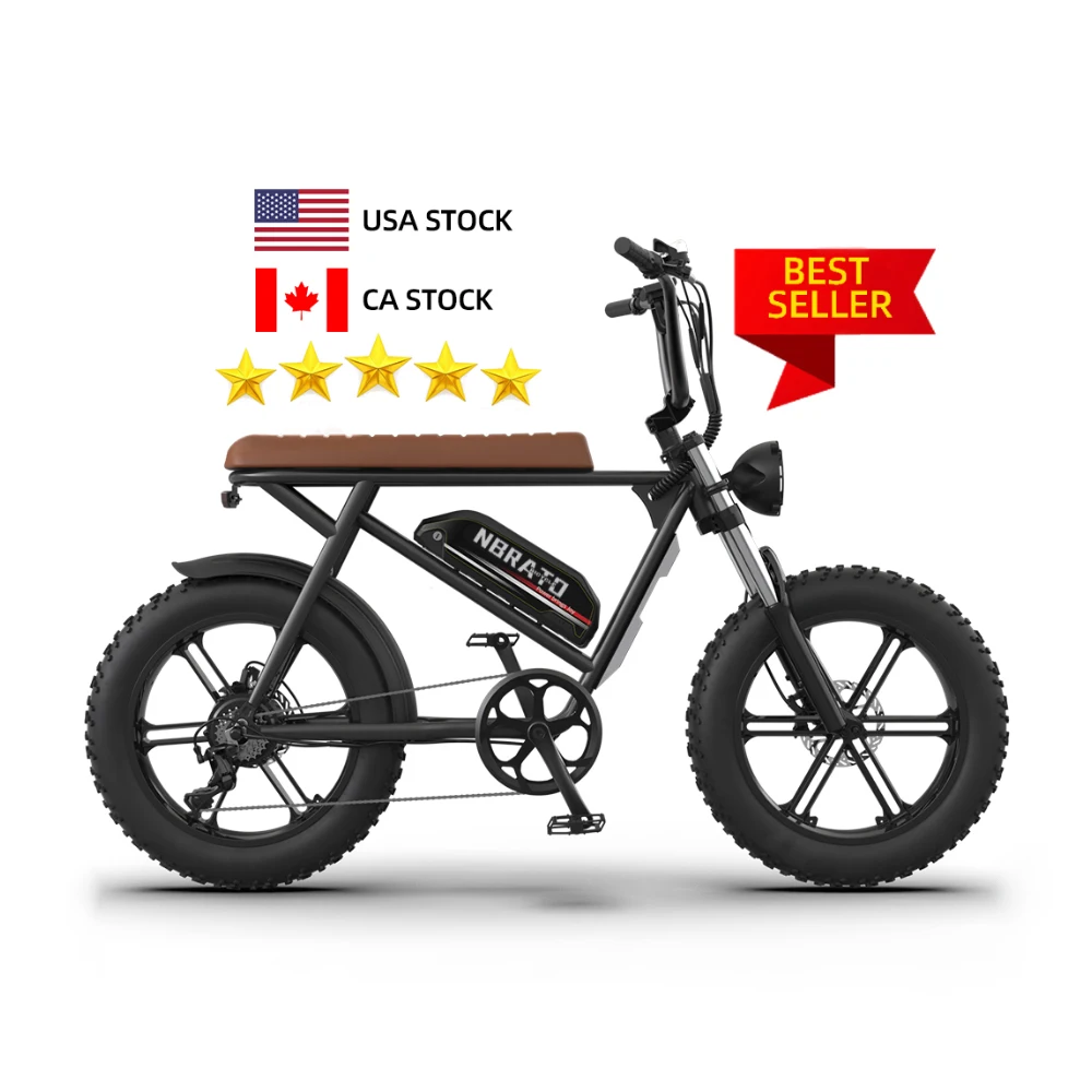 us free shipping 2023 hot sale 48V 12.5AH Electric Bike E bike electric motorcycle bicycle with 20inch Fat Tire