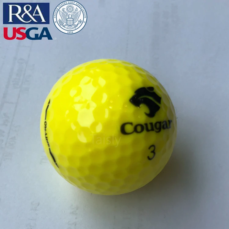 
PGA STANDARD High quality two piece tournament golf ball 