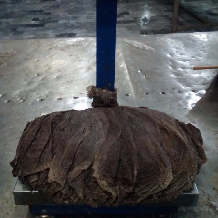 
Export Quality Salted Dried Beef Omasum 