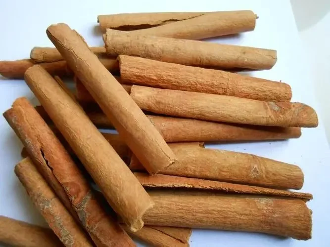 High Quality Dried Cinnamon Raw Processing for Premium Seasoning and Medicinal Uses