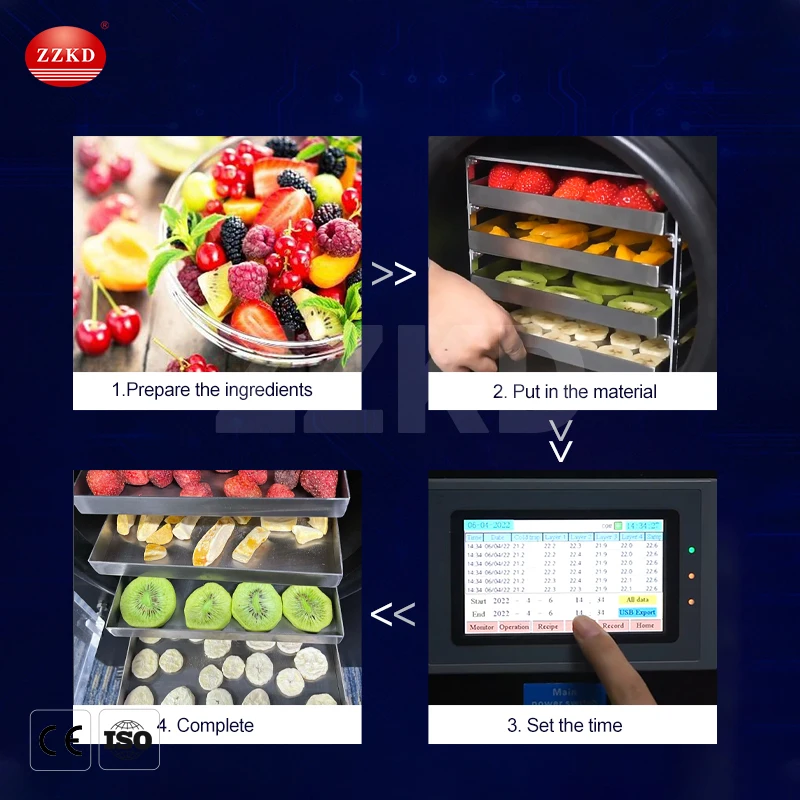 Mini Commercial Food and Vegetables Freeze Vacuum Drying/Dryer Machine