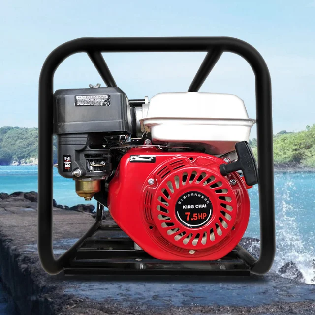 Best Price Electric Pressure Iron High Quality 2 Leo Portable Garden Water Jet Drip Irrigation New Trend Pump