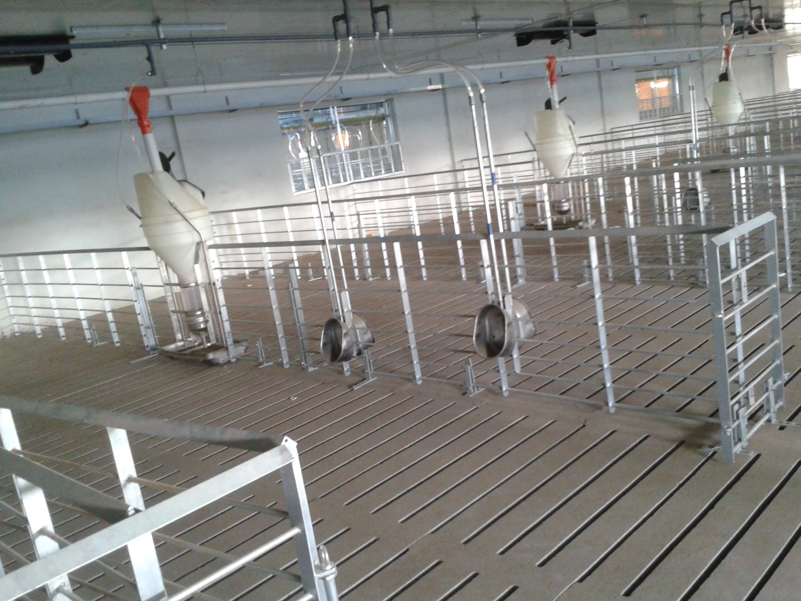 Manufacturer Supply Cheap Pig Finisher Pen For Sale
