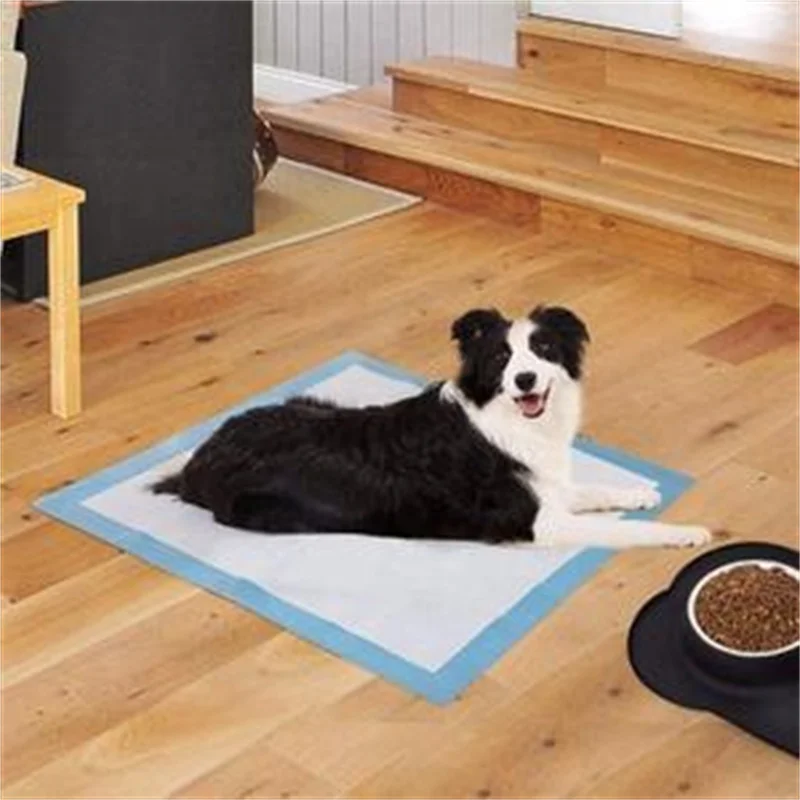 Highly absorbent disposable dog training pad