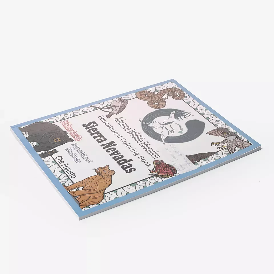 Custom Printing Children Books school book Printing Best quality A4 magazine printing with perfect binding play toy magazine