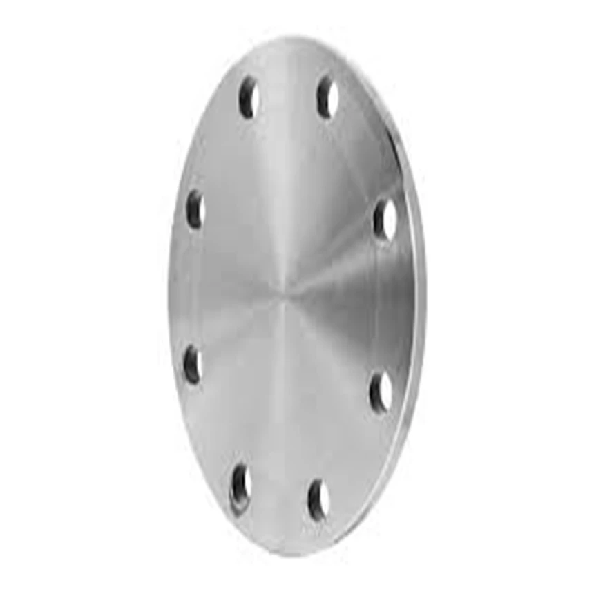 Customized Machining Forging Steel Flange With EN10204-3.1 Certificate Uns S31254 Blind