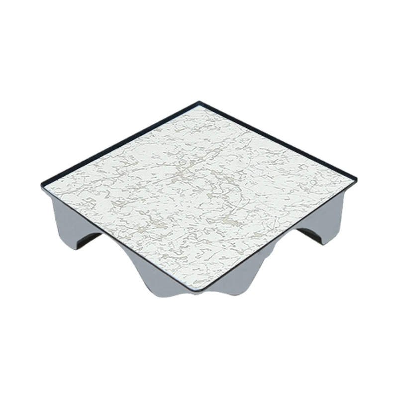 600x600mm Cement Infilled Steel Raised Floor Oa Panel Raised Access Floor For Data Center