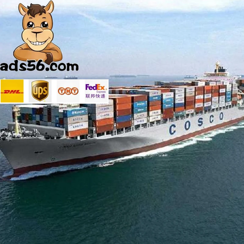 sea LCL shipping from china to Egypt Nigeria Kenya Ethiopia Tanzania Uga