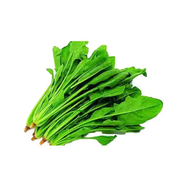 Natural Vegetable Spinach Juice Powder 100% water soluble