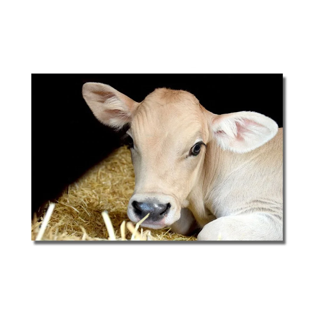 On Canvas Stretched Painting Fine Printed Flower Pattern Art 20 Inch Wall Deco Other Home Decor,home Decor Modern Stylish Fabric