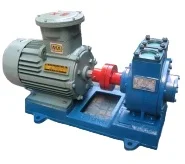 vane waste small oil pumping machine charging high pressure transfer circulating circulator pump 220v