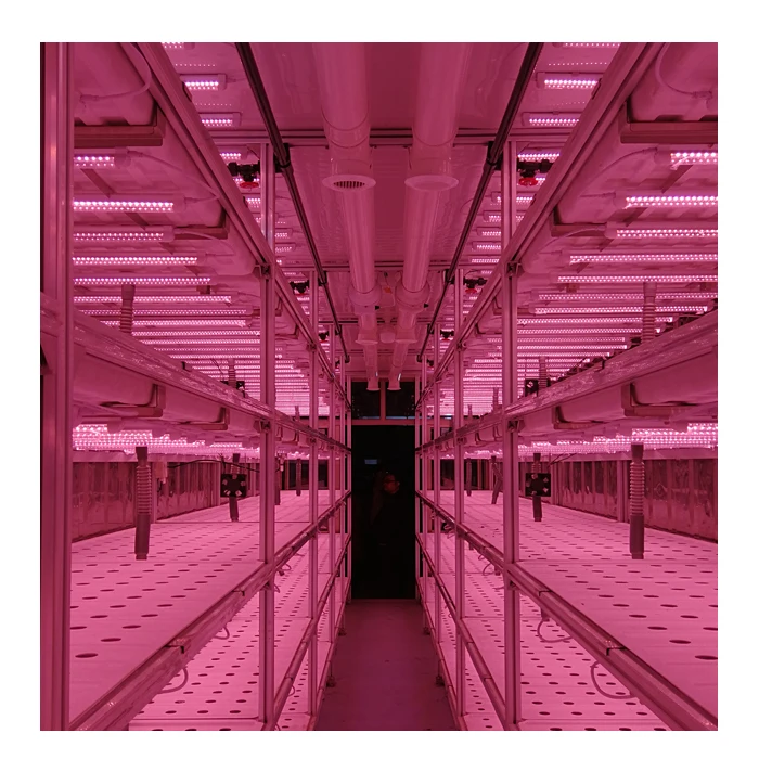 Microgreens Vertical Hydroponic Container Box Farm/ Greenhouse