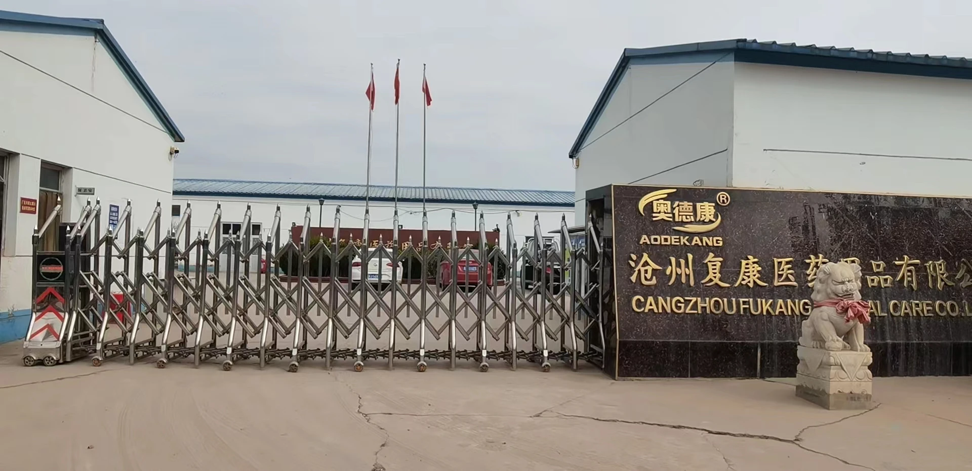 factory price disposable pen type blood collection needle multi-sample needle medical disposable injection needle for dispensing