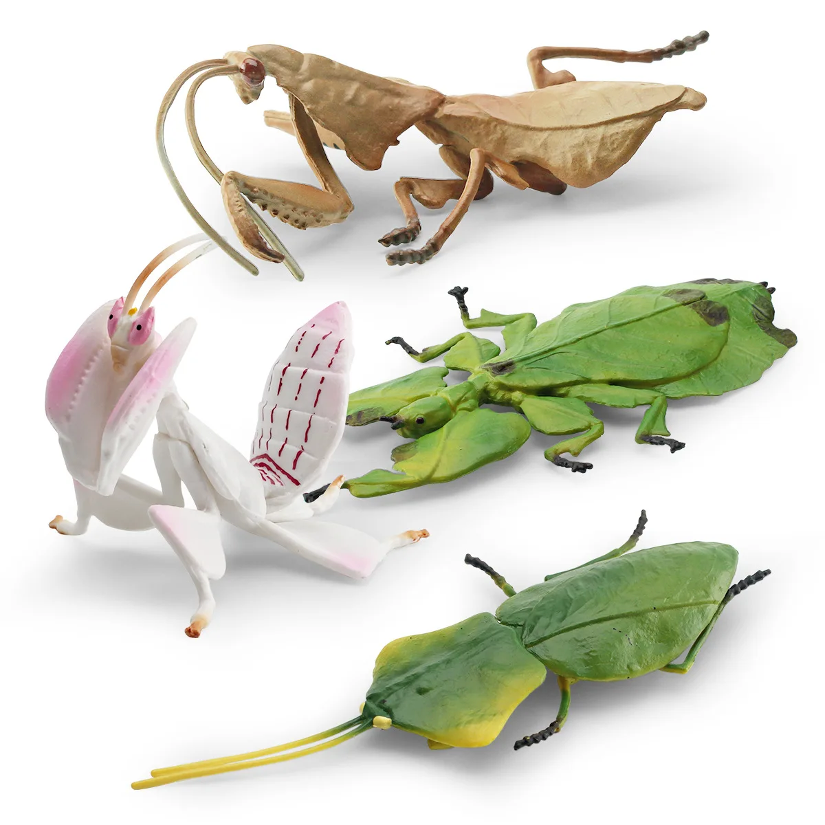 simulation of insect animal model Mantis Skelleri leaf  orchid mantis decoration