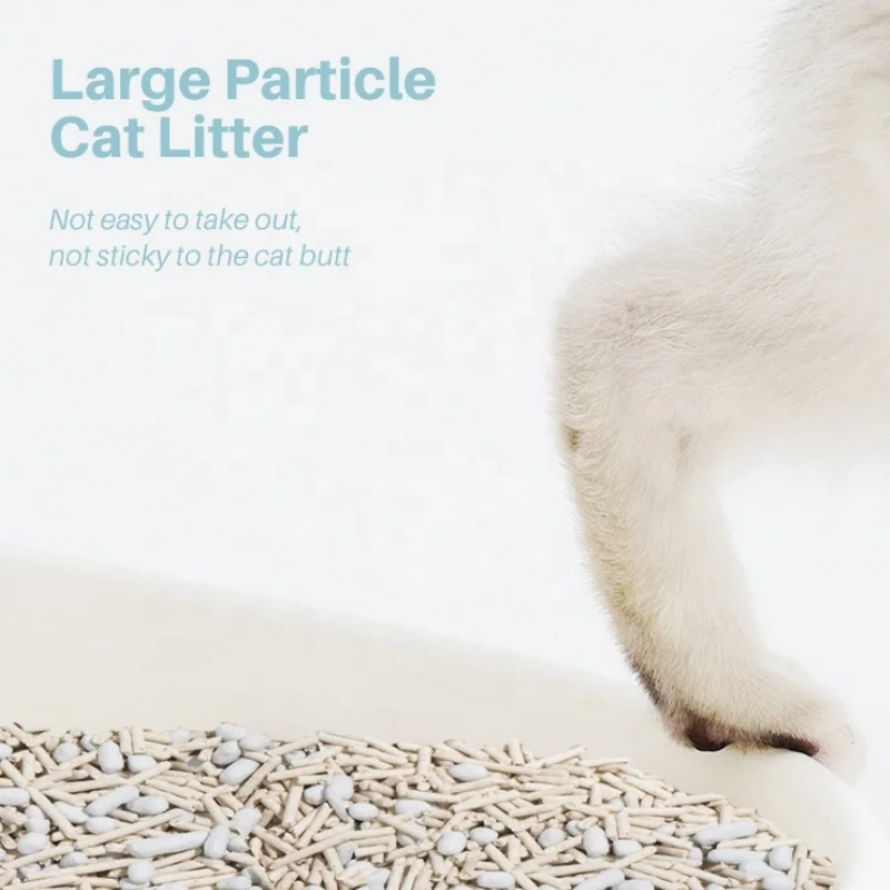 Tofu Cat Litter with Activated Carbon Polymer: Ultimate 170x Water Absorption, Aroma Dispersion, & Odor Control