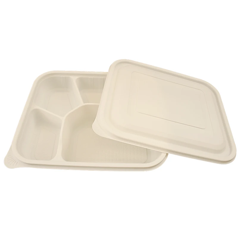 CPla Food Container Manufacturer/Biodegradable 5 Compartment Food Container Disposable