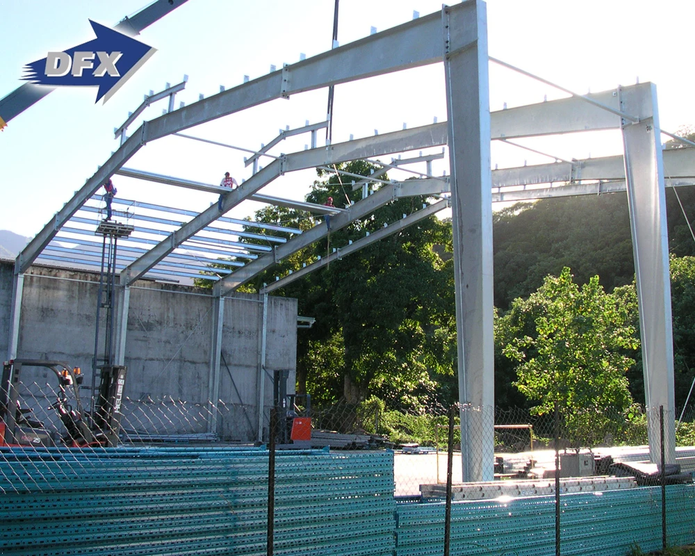 Китай, низкие цены, быстрая сборка, современный дизайн, профессиональная стальная конструкция, склад для домашней птицы, сборное здание