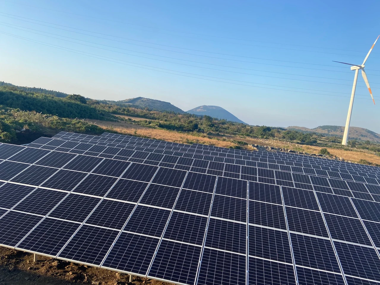 tongwei 585W 590W 595Watt Half Cut Mono Solar Panels 600W Monocrystalline Solar PV Module