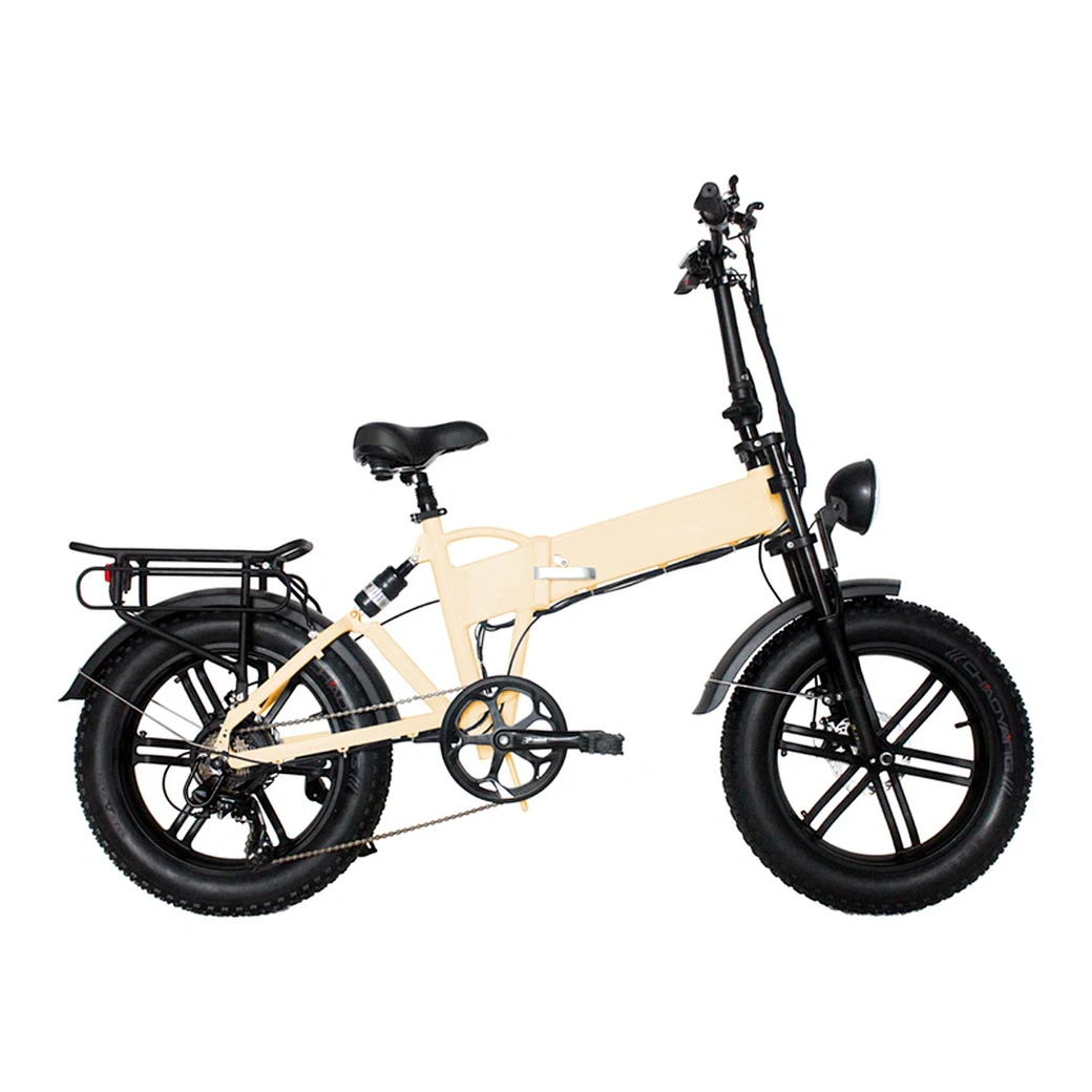 High Speed Electric Bicycle Electric Bike Motor with Two Seats for Adult Racing