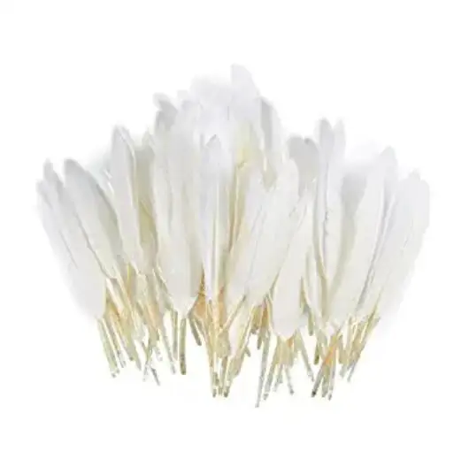 
Wholesale bulk washed duck feather for pillow duvet use 