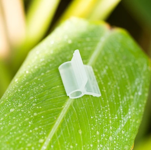Transparent Plastic Plant Vegetable Fruit Eggplant Watermelon Tomato Gardening Grafting Clips Seedling Grafting Clip