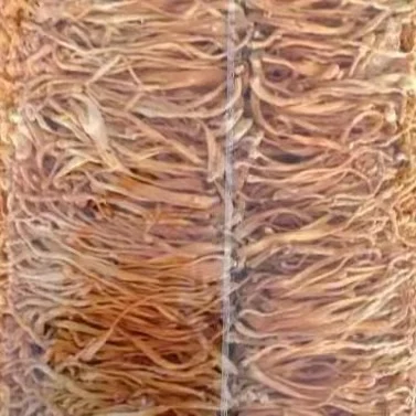 Grade one Dried  Dehydrated Cordyceps Militaris Mushrooms Healthy Cordyceps